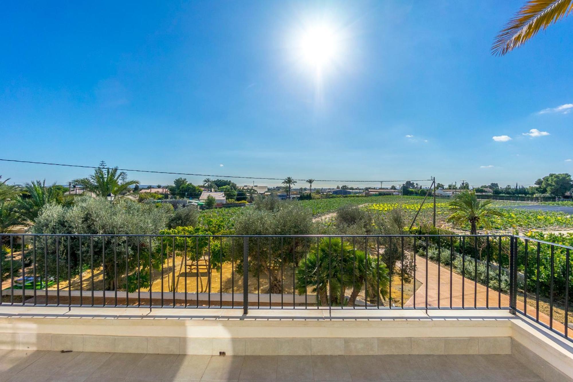 Finca Santa Barbara Elche Rum bild